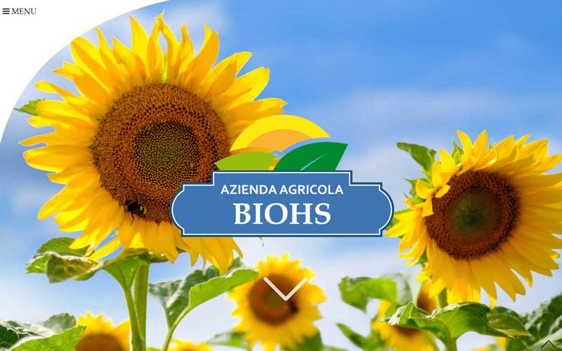 Sito responsive azienda agricola